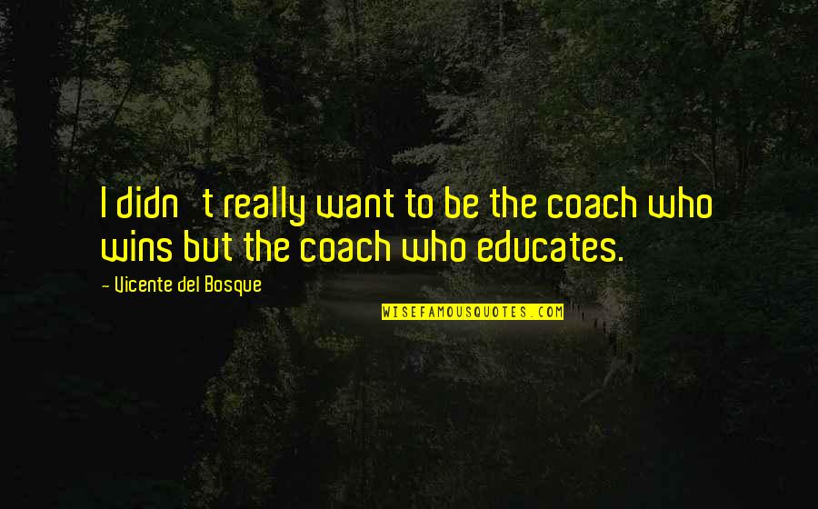 Vicente Quotes By Vicente Del Bosque: I didn't really want to be the coach