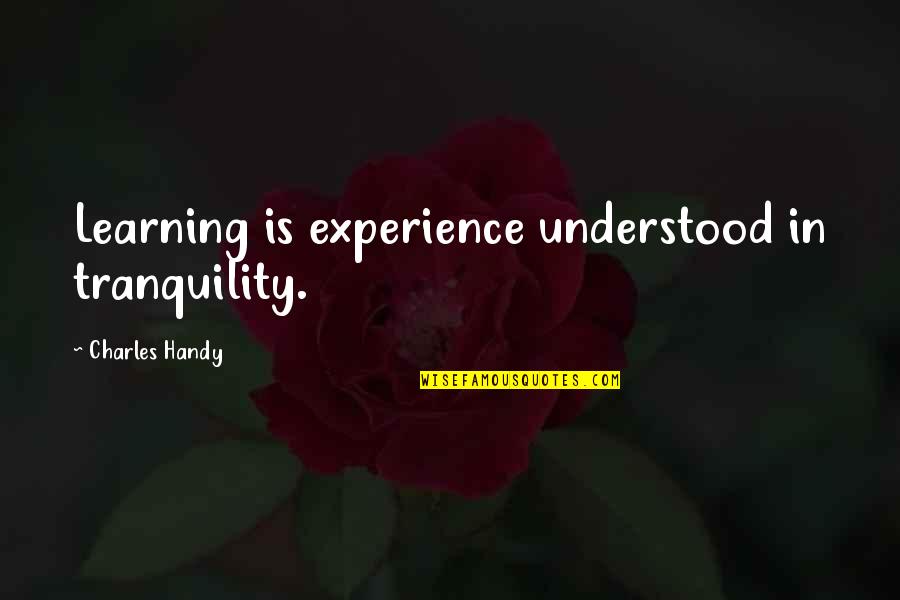 Vickrey Heat Quotes By Charles Handy: Learning is experience understood in tranquility. Vickrey Heat Quotes By Charles Handy: Learning is experience understood in tranquility.