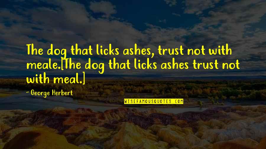 Vicky Pollard Little Britain Quotes By George Herbert: The dog that licks ashes, trust not with Vicky Pollard Little Britain Quotes By George Herbert: The dog that licks ashes, trust not with