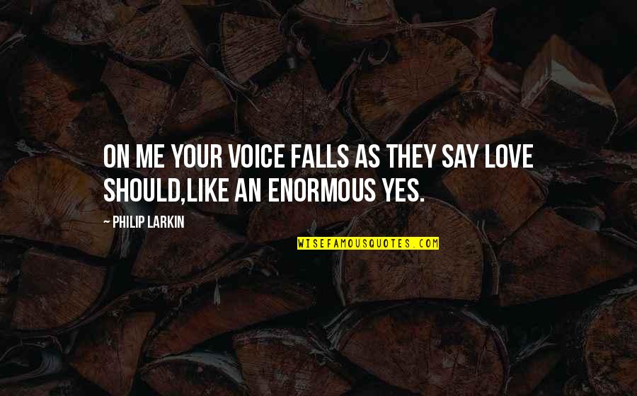 Vicodin Vs Percocet Quotes By Philip Larkin: On me your voice falls as they say