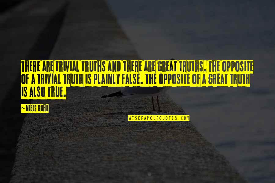 Vicomtesse De Ribes Quotes By Niels Bohr: There are trivial truths and there are great Vicomtesse De Ribes Quotes By Niels Bohr: There are trivial truths and there are great