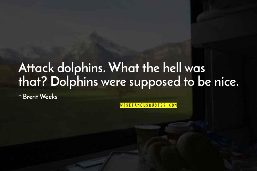Victims Of Typhoon Quotes By Brent Weeks: Attack dolphins. What the hell was that? Dolphins