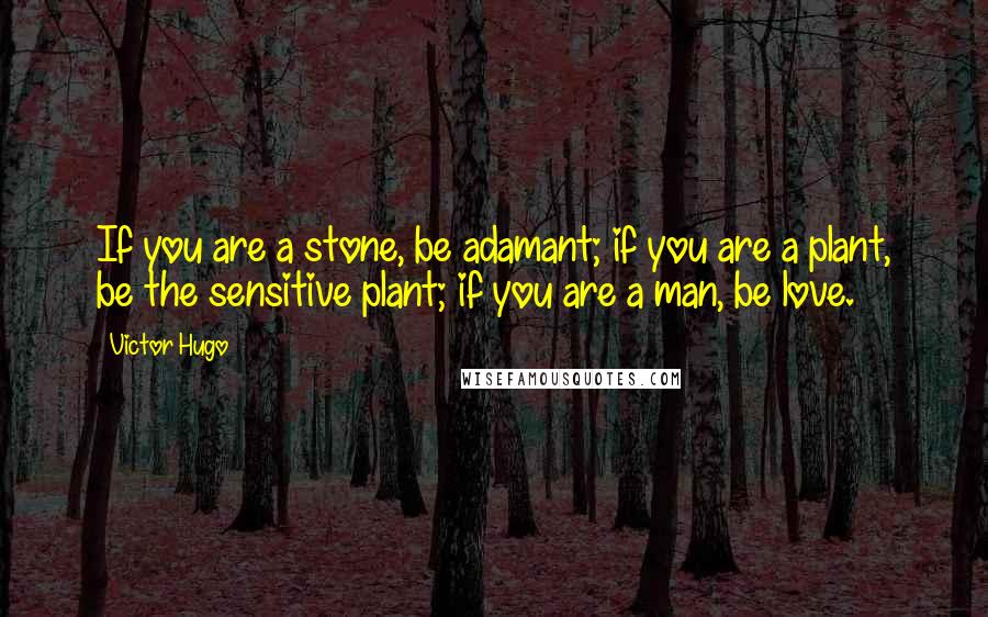 Victor Hugo quotes: If you are a stone, be adamant; if you are a plant, be the sensitive plant; if you are a man, be love. Victor Hugo quotes: If you are a stone, be adamant; if you are a plant, be the sensitive plant; if you are a man, be love.