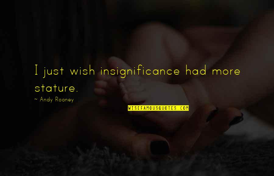 Victor J Stenger Quotes By Andy Rooney: I just wish insignificance had more stature.