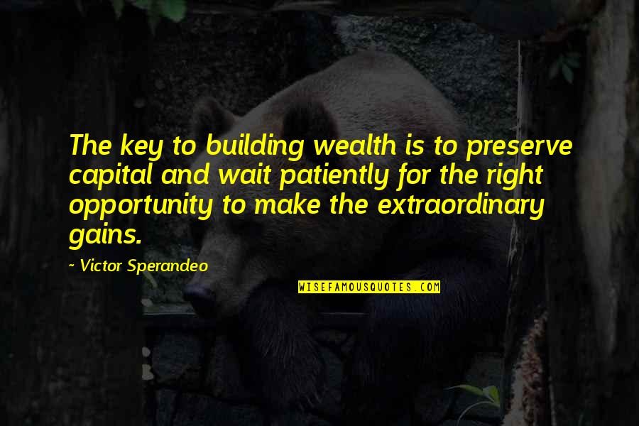 Victor Sperandeo Quotes By Victor Sperandeo: The key to building wealth is to preserve Victor Sperandeo Quotes By Victor Sperandeo: The key to building wealth is to preserve