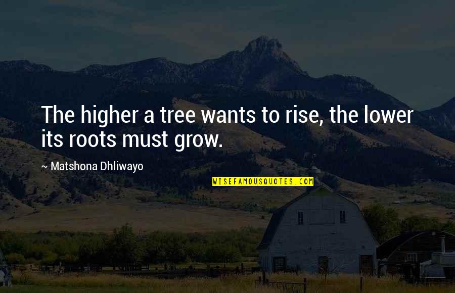 Victor Tsoi Quotes By Matshona Dhliwayo: The higher a tree wants to rise, the Victor Tsoi Quotes By Matshona Dhliwayo: The higher a tree wants to rise, the
