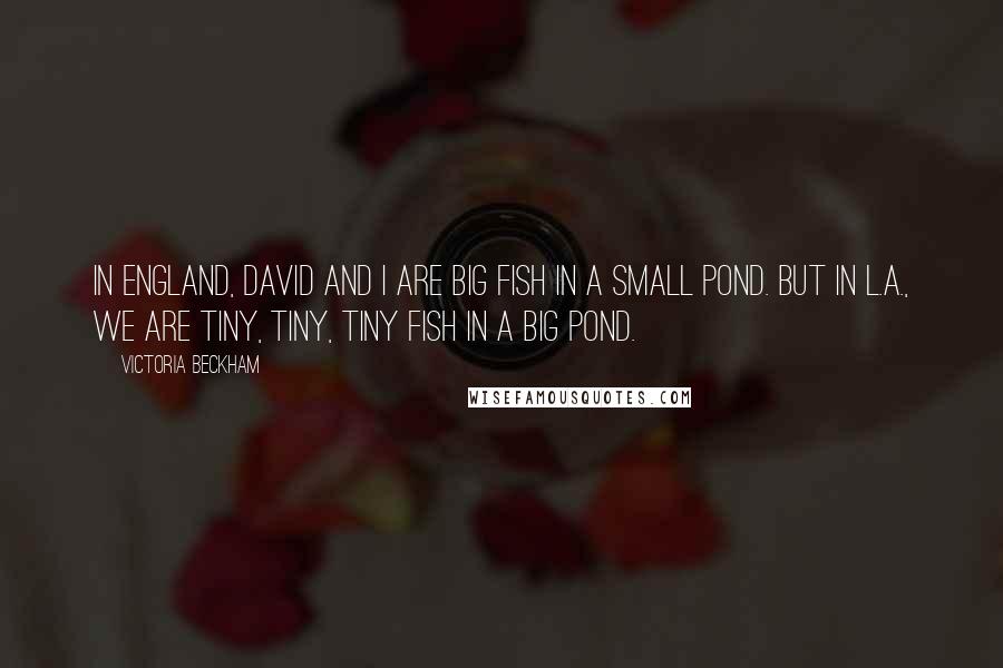 Victoria Beckham quotes: In England, David and I are big fish in a small pond. But in L.A., we are tiny, tiny, tiny fish in a big pond. Victoria Beckham quotes: In England, David and I are big fish in a small pond. But in L.A., we are tiny, tiny, tiny fish in a big pond.