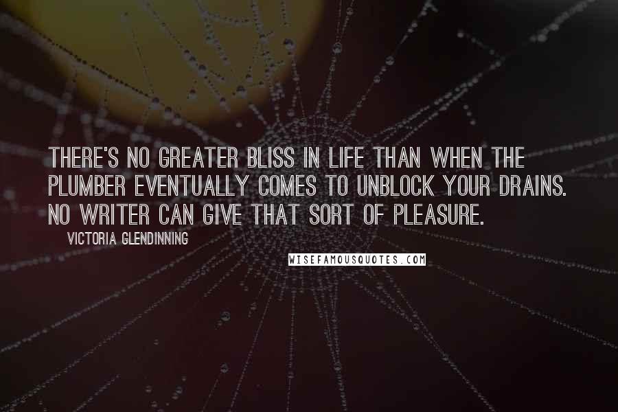 Victoria Glendinning quotes: There's no greater bliss in life than when the plumber eventually comes to unblock your drains. No writer can give that sort of pleasure.