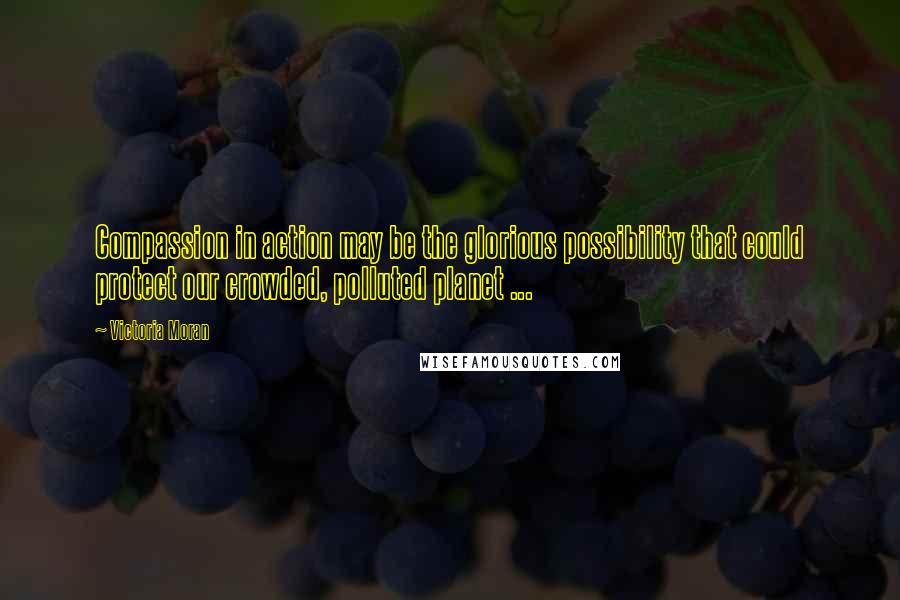 Victoria Moran quotes: Compassion in action may be the glorious possibility that could protect our crowded, polluted planet ...