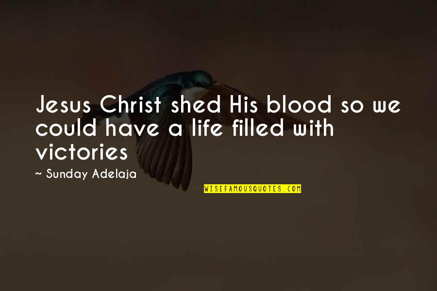 Victories In Life Quotes By Sunday Adelaja: Jesus Christ shed His blood so we could