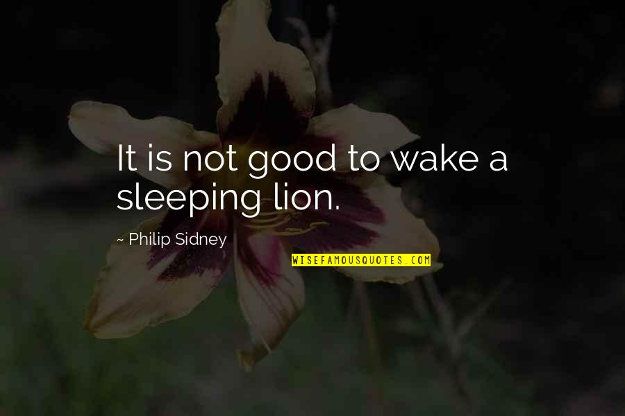 Victory At All Costs Quotes By Philip Sidney: It is not good to wake a sleeping