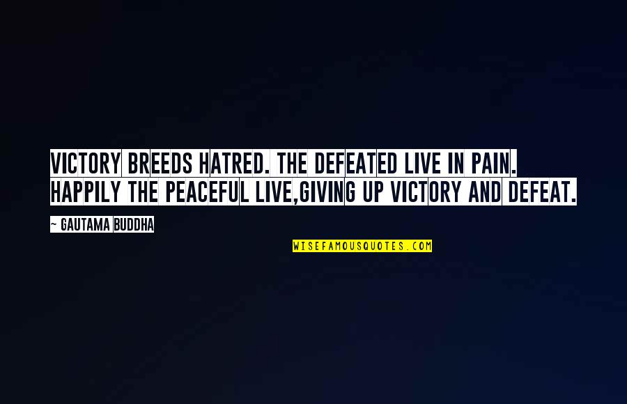 Victory In Defeat Quotes By Gautama Buddha: Victory breeds hatred. The defeated live in pain.