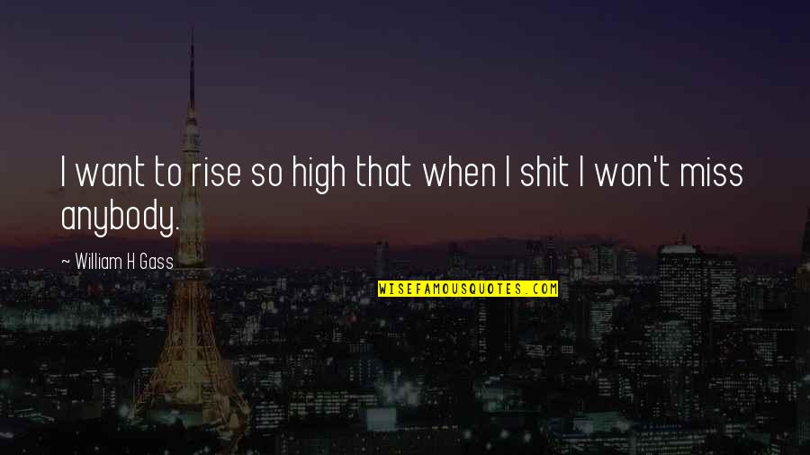 Victrix Ludorum Quotes By William H Gass: I want to rise so high that when Victrix Ludorum Quotes By William H Gass: I want to rise so high that when