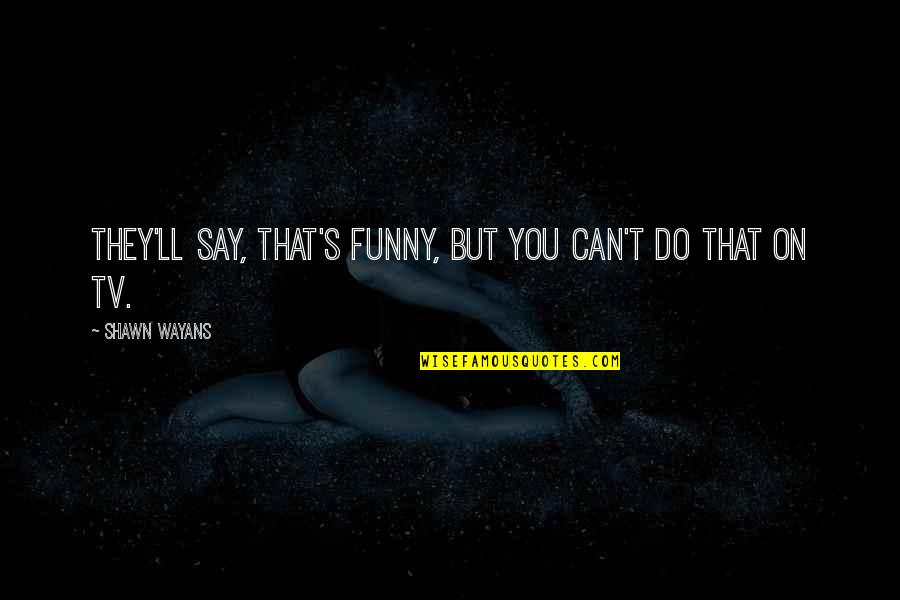 Victualing Quotes By Shawn Wayans: They'll say, That's funny, but you can't do Victualing Quotes By Shawn Wayans: They'll say, That's funny, but you can't do