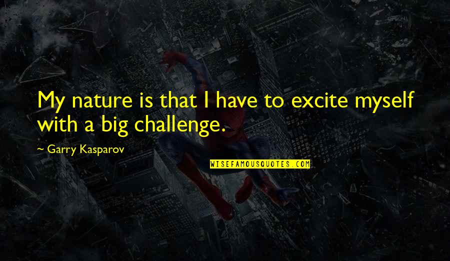 Vidant Quotes By Garry Kasparov: My nature is that I have to excite