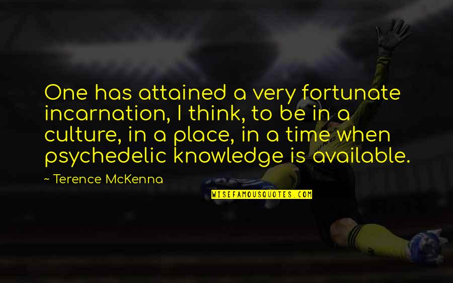 Vidas Passadas Quotes By Terence McKenna: One has attained a very fortunate incarnation, I