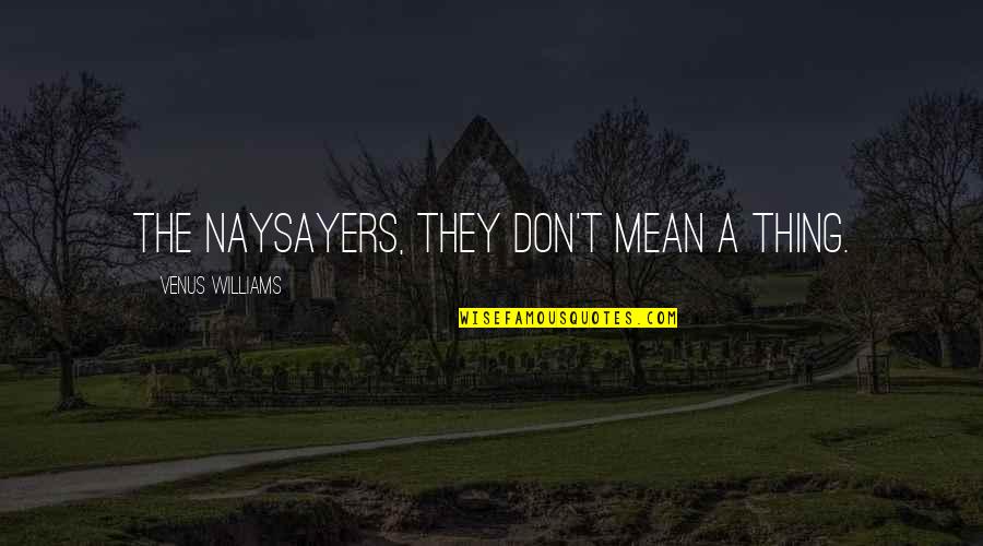 Videographers Quotes By Venus Williams: The naysayers, they don't mean a thing.