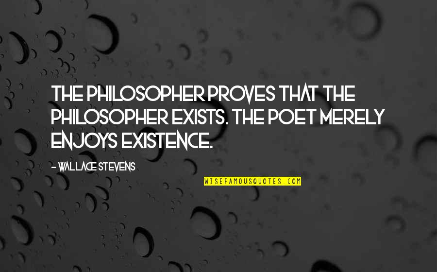 Videotek Quotes By Wallace Stevens: The philosopher proves that the philosopher exists. The