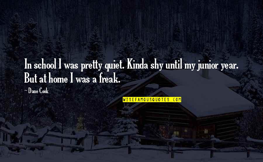 Vidio Quotes By Dane Cook: In school I was pretty quiet. Kinda shy