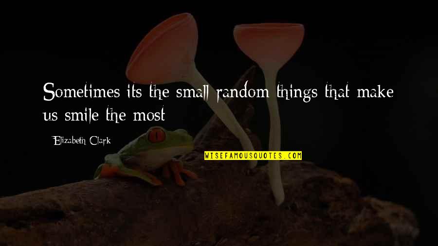 Vidmate Quotes By Elizabeth Clark: Sometimes its the small random things that make