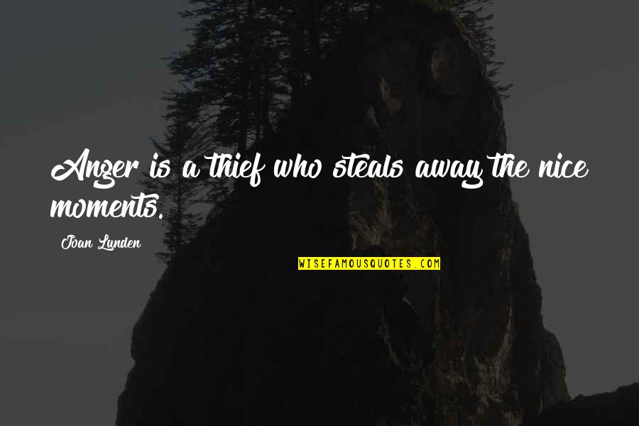 Vidon Vineyard Quotes By Joan Lunden: Anger is a thief who steals away the Vidon Vineyard Quotes By Joan Lunden: Anger is a thief who steals away the