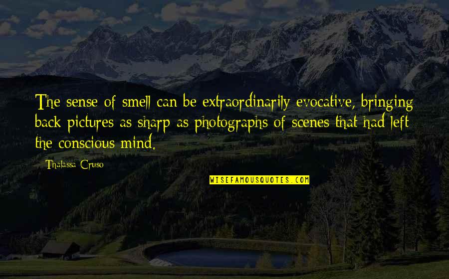 Vidriera Ensenada Quotes By Thalassa Cruso: The sense of smell can be extraordinarily evocative, Vidriera Ensenada Quotes By Thalassa Cruso: The sense of smell can be extraordinarily evocative,