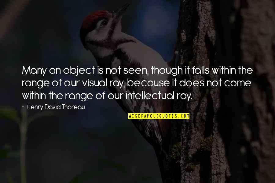 Vidurio Quotes By Henry David Thoreau: Many an object is not seen, though it