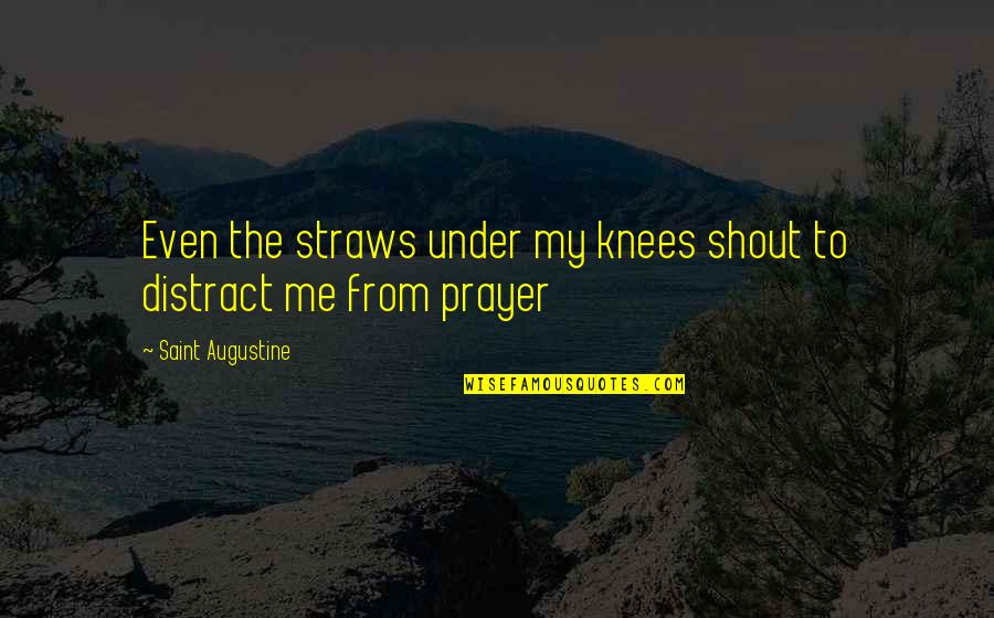 Viegas Photography Quotes By Saint Augustine: Even the straws under my knees shout to Viegas Photography Quotes By Saint Augustine: Even the straws under my knees shout to