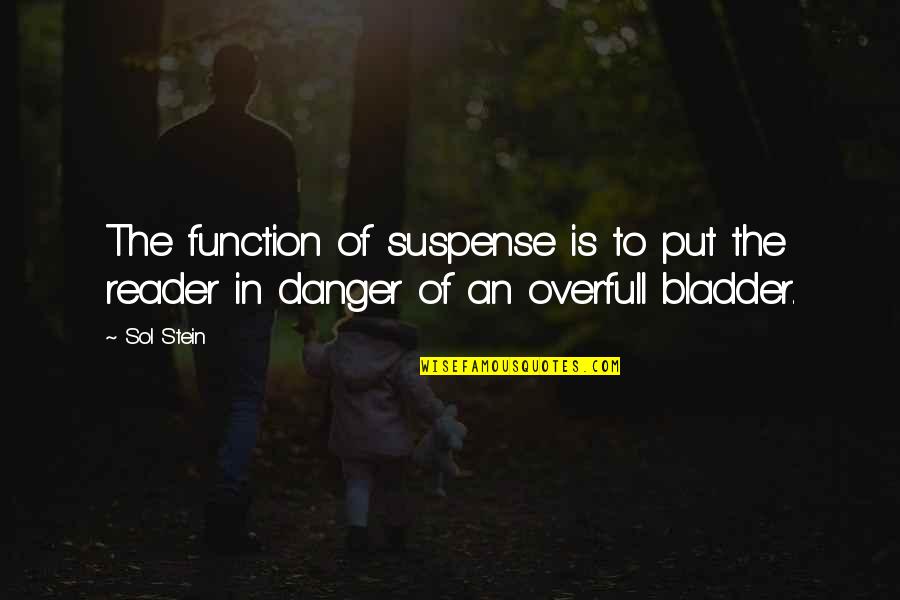 Viejas Pendejas Quotes By Sol Stein: The function of suspense is to put the