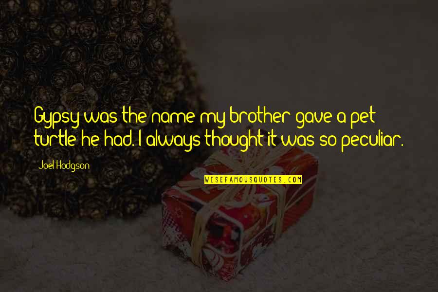 Vielschmutziger Quotes By Joel Hodgson: Gypsy was the name my brother gave a Vielschmutziger Quotes By Joel Hodgson: Gypsy was the name my brother gave a