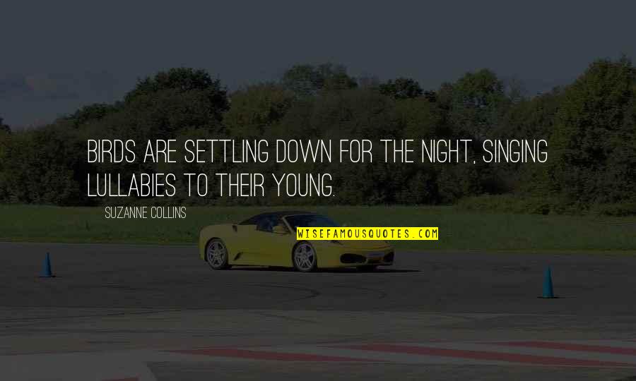 Viennese Hour Quotes By Suzanne Collins: Birds are settling down for the night, singing Viennese Hour Quotes By Suzanne Collins: Birds are settling down for the night, singing