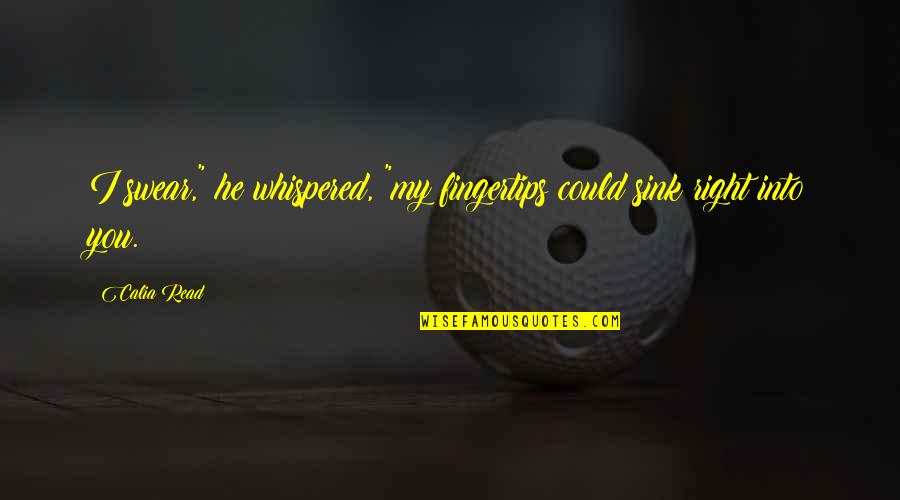 Vierendeels D M Nagement Quotes By Calia Read: I swear," he whispered, "my fingertips could sink