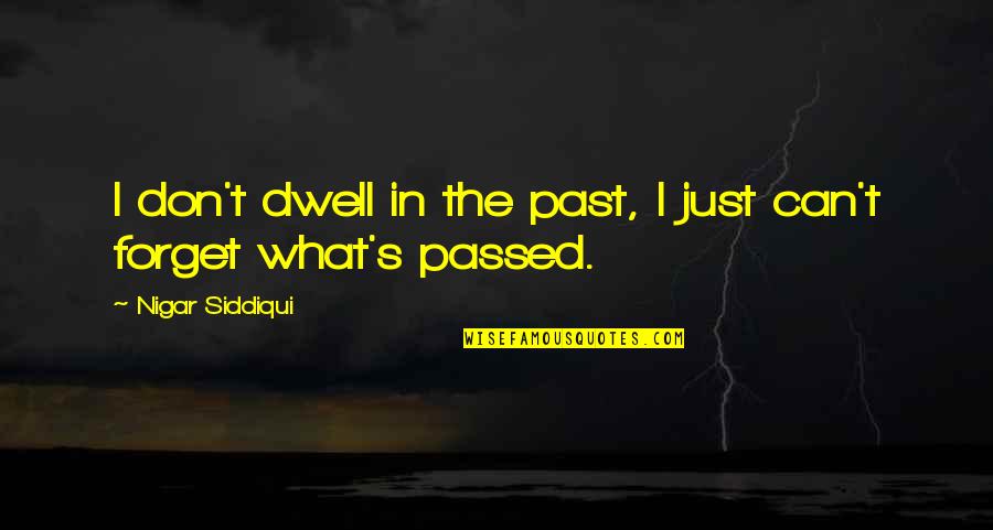 Vietnam Flashback Quotes By Nigar Siddiqui: I don't dwell in the past, I just Vietnam Flashback Quotes By Nigar Siddiqui: I don't dwell in the past, I just