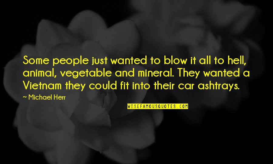 Vietnam Quotes By Michael Herr: Some people just wanted to blow it all