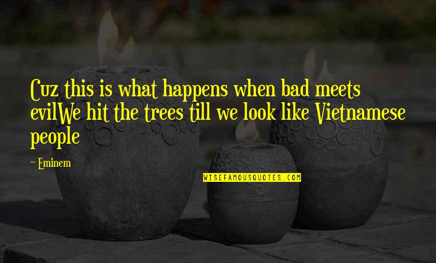Vietnamese Quotes By Eminem: Cuz this is what happens when bad meets