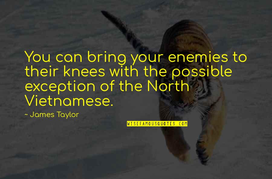 Vietnamese Quotes By James Taylor: You can bring your enemies to their knees