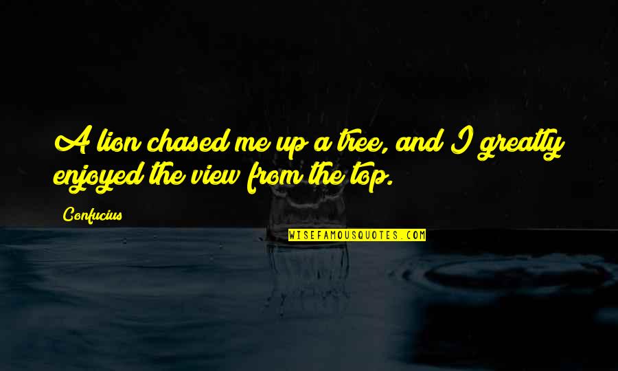 View From The Top Quotes By Confucius: A lion chased me up a tree, and