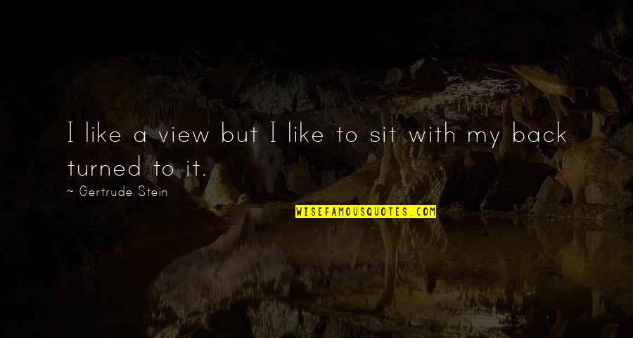 View'd Quotes By Gertrude Stein: I like a view but I like to