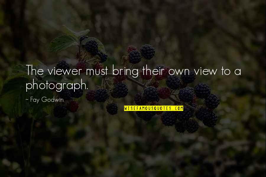 Viewer Quotes By Fay Godwin: The viewer must bring their own view to