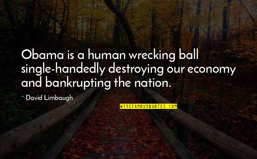 Views Of Mountains Quotes By David Limbaugh: Obama is a human wrecking ball single-handedly destroying