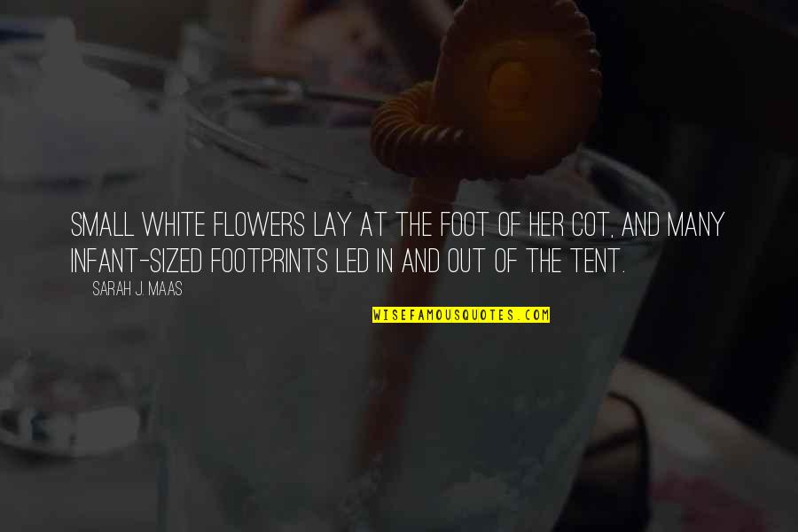 Views Of The Shoreline Quotes By Sarah J. Maas: Small white flowers lay at the foot of