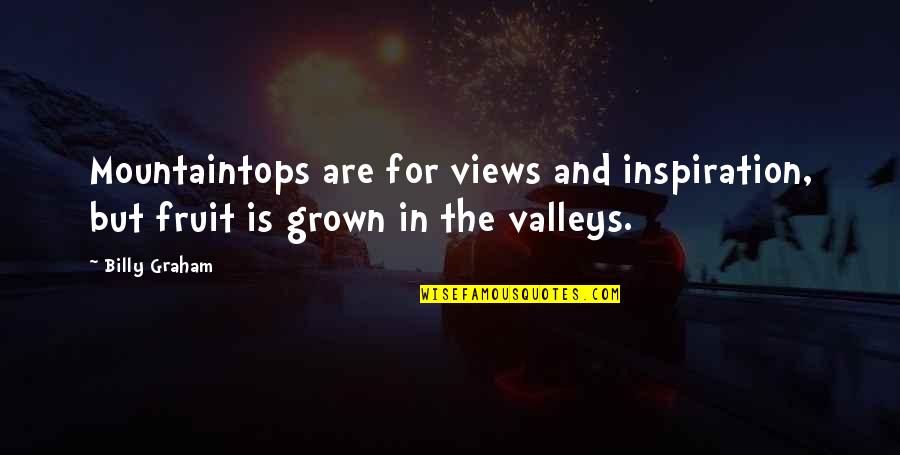 Views Quotes By Billy Graham: Mountaintops are for views and inspiration, but fruit