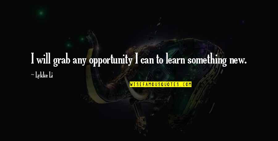 Vigilia Di Quotes By Lykke Li: I will grab any opportunity I can to