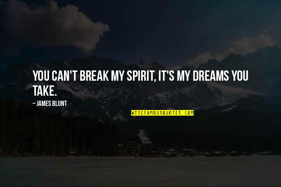 Vigneaux Door Quotes By James Blunt: You can't break my spirit, it's my dreams
