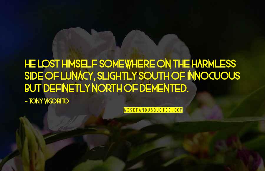 Vigorito Quotes By Tony Vigorito: He lost himself somewhere on the harmless side