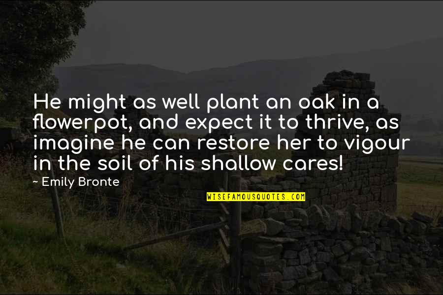 Vigour Quotes By Emily Bronte: He might as well plant an oak in