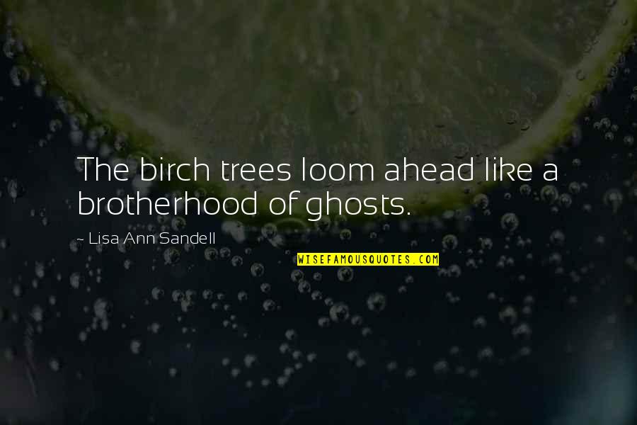 Viharas Chaityas Quotes By Lisa Ann Sandell: The birch trees loom ahead like a brotherhood Viharas Chaityas Quotes By Lisa Ann Sandell: The birch trees loom ahead like a brotherhood