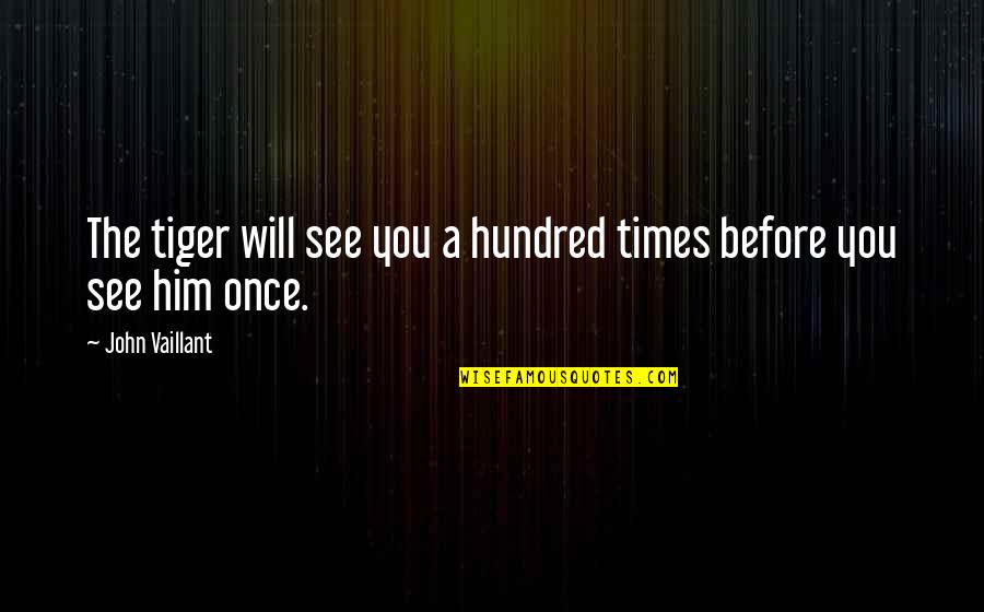 Viimased Quotes By John Vaillant: The tiger will see you a hundred times Viimased Quotes By John Vaillant: The tiger will see you a hundred times