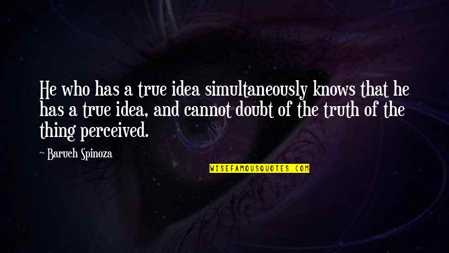 Vijayavani Kannada Quotes By Baruch Spinoza: He who has a true idea simultaneously knows