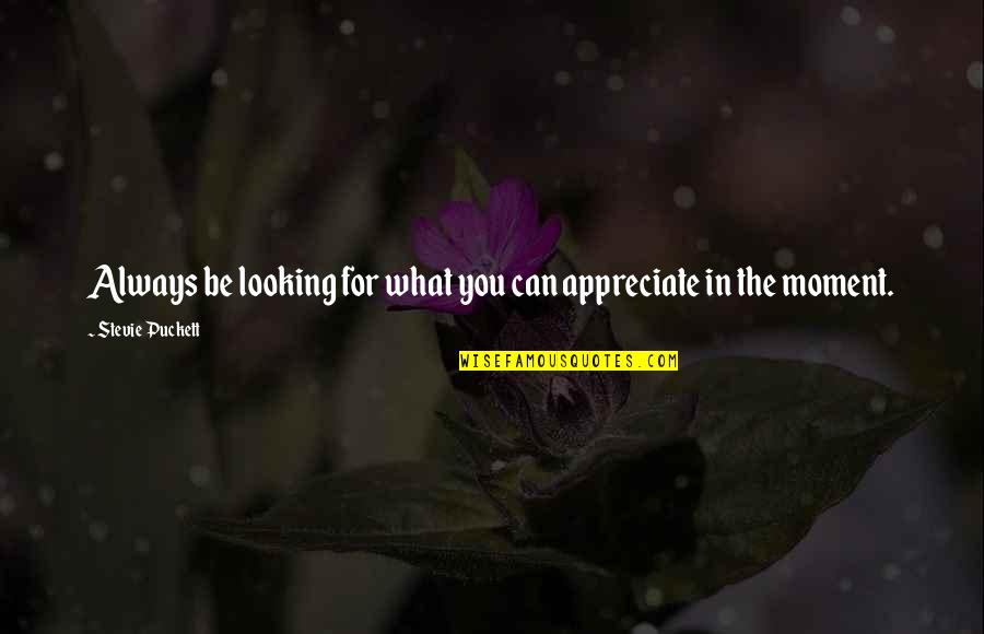 Vijftiende Quotes By Stevie Puckett: Always be looking for what you can appreciate